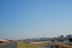 スカイツリーと橋