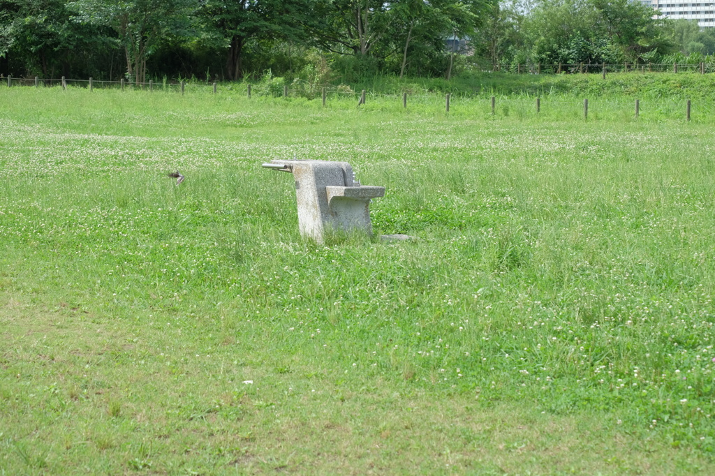 水飲み場
