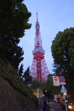 緑に囲まれた東京タワー
