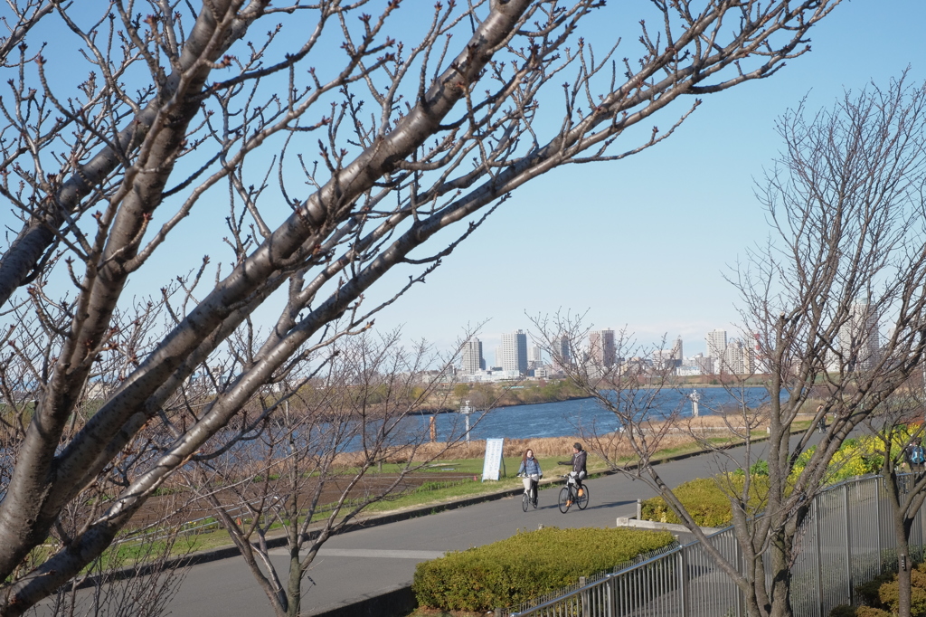 公園デート