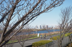公園デート