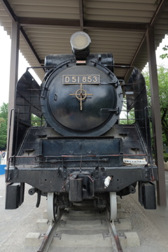 D51