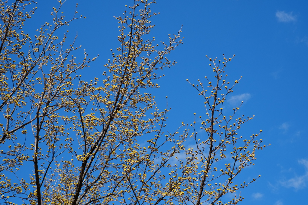 青い空