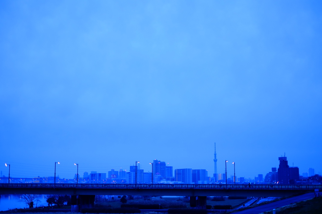 早朝の荒川