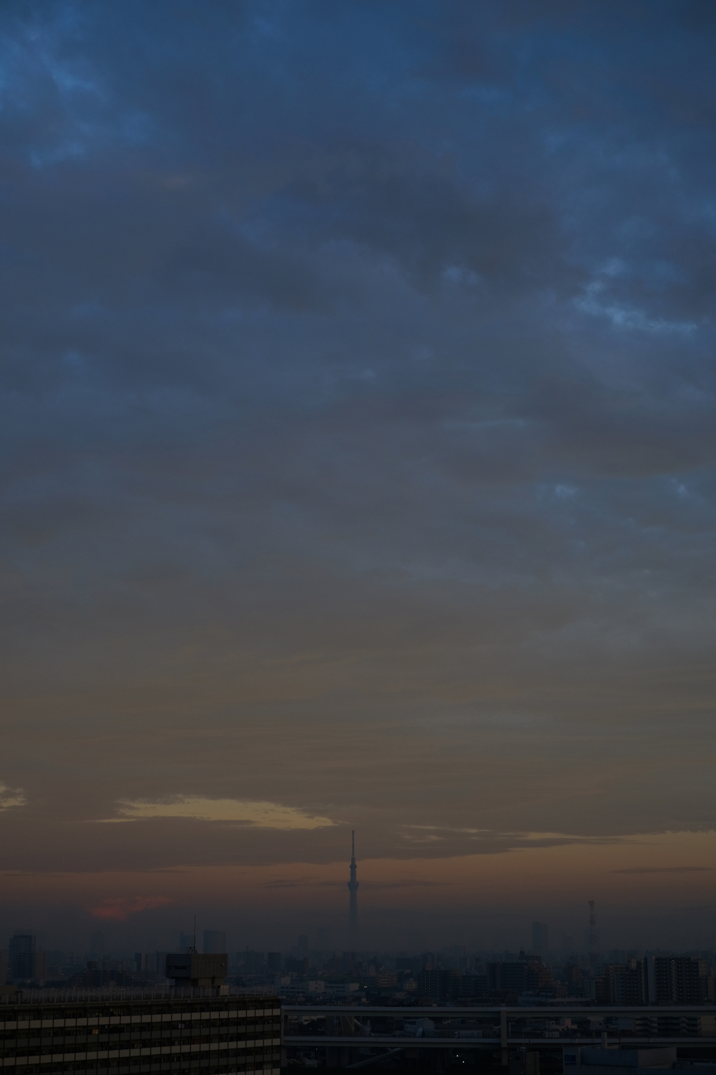空木