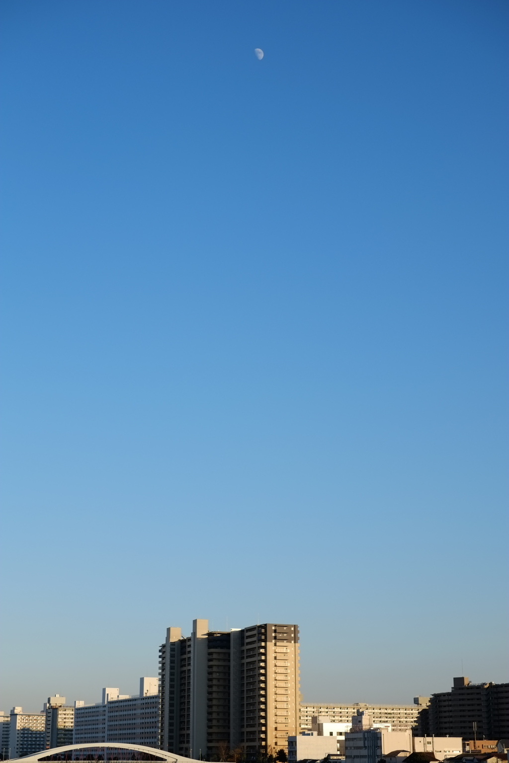 真昼の月