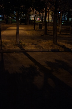 地面