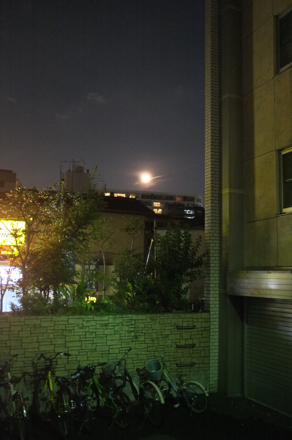月夜