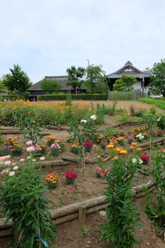 花とお家