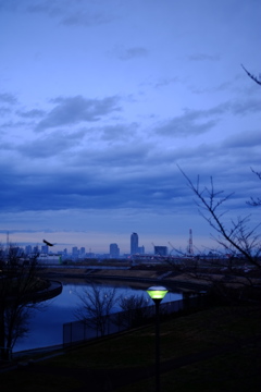 遠くにそびえる高層マンション