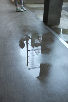 水たまり