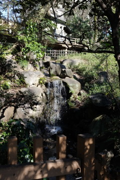 滝