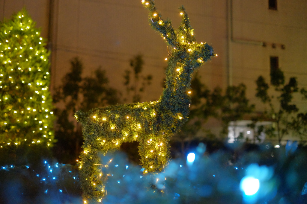 トナカイのイルミネーション