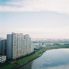隅田川