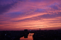 紫の空
