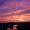 紫の空