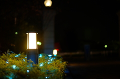 イルミネーション２
