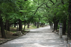 公園