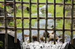水路