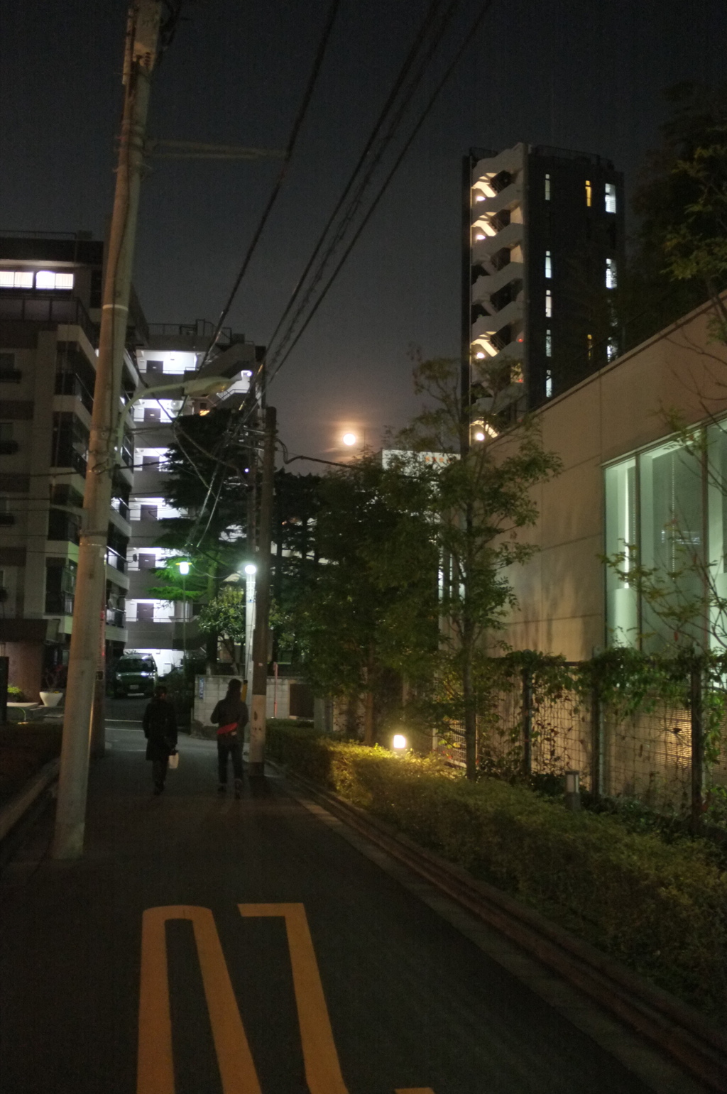 月夜