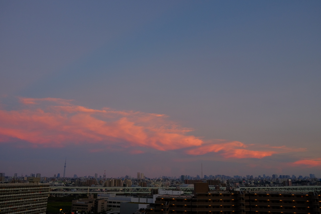 夕焼けとスカイツリー