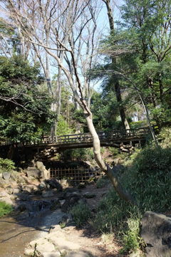 橋