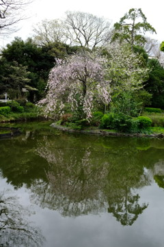 公園