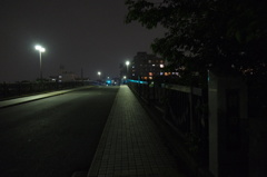 橋の上