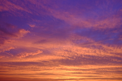 紫の空２