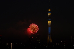 スカイツリーと花火