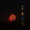 スカイツリーと花火