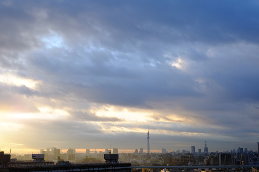 早朝のスカイツリー