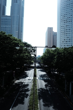 西新宿