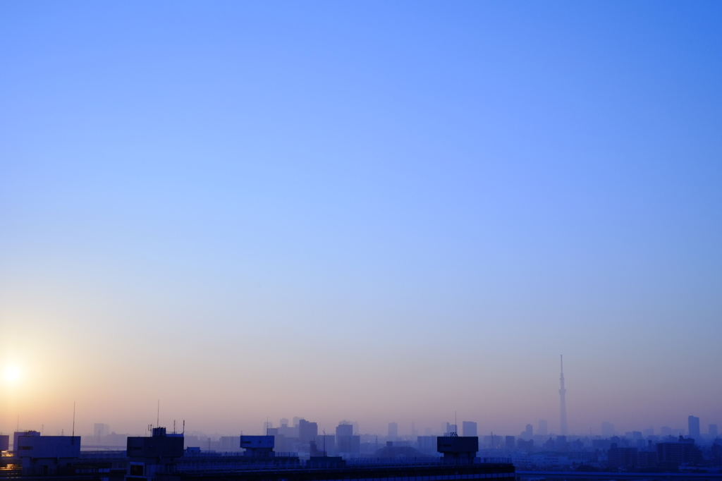 早朝のスカイツリー