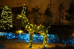 トナカイのイルミネーション