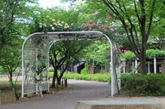 花のトンネル
