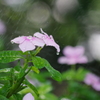 水に濡れて