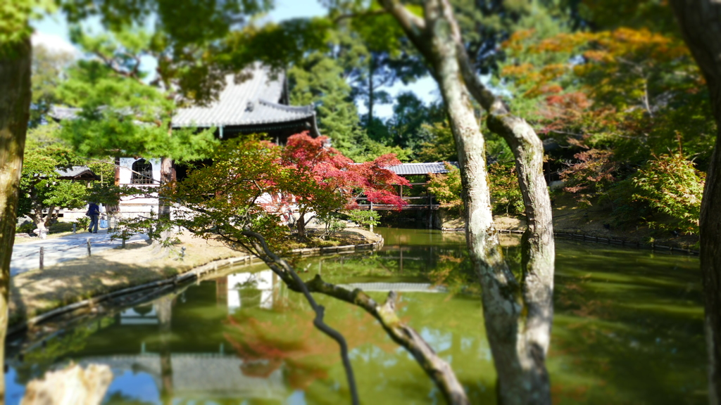 少しの紅葉ですが