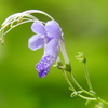 曇りの8月12日水曜日