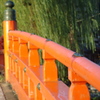 早朝の雫
