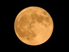 天気は良かったので見rました