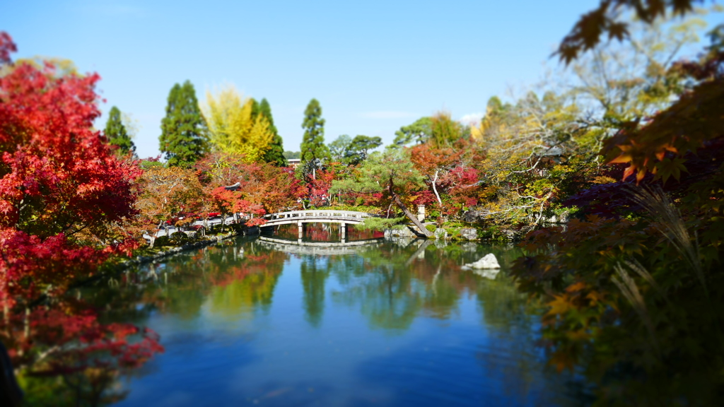 秋晴れの紅葉