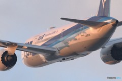 JA817A
