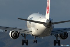 JA224J