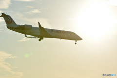 JA204J