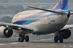 本日撮影分よりぃ～