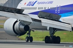 767