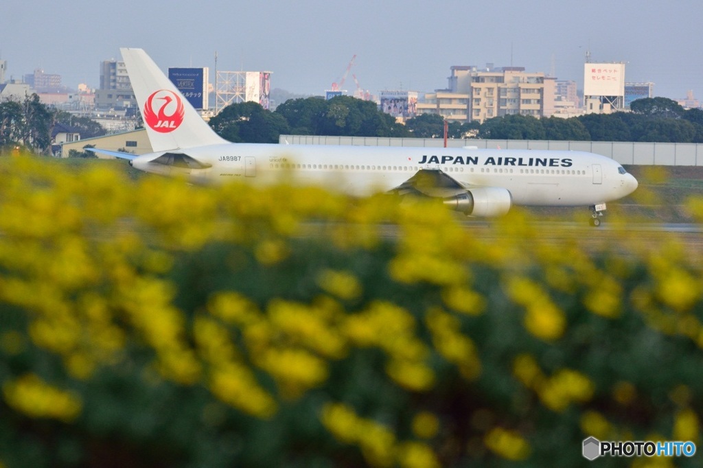 767