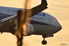 737-800