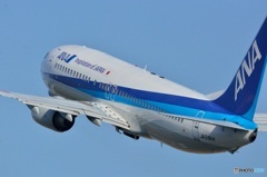 737
